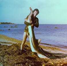 Phil with shark by tail